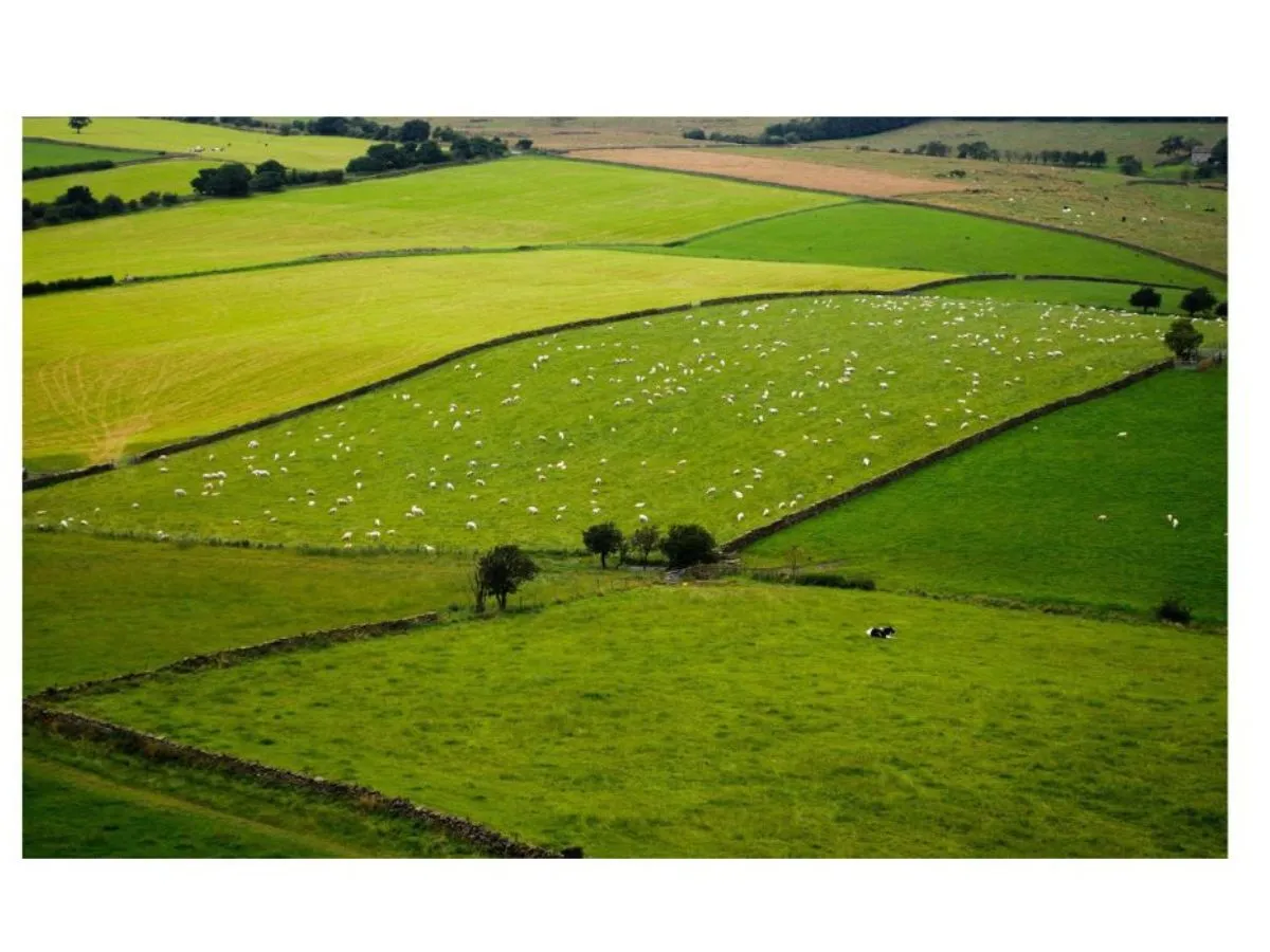 Buy Farmland in Saskatoon