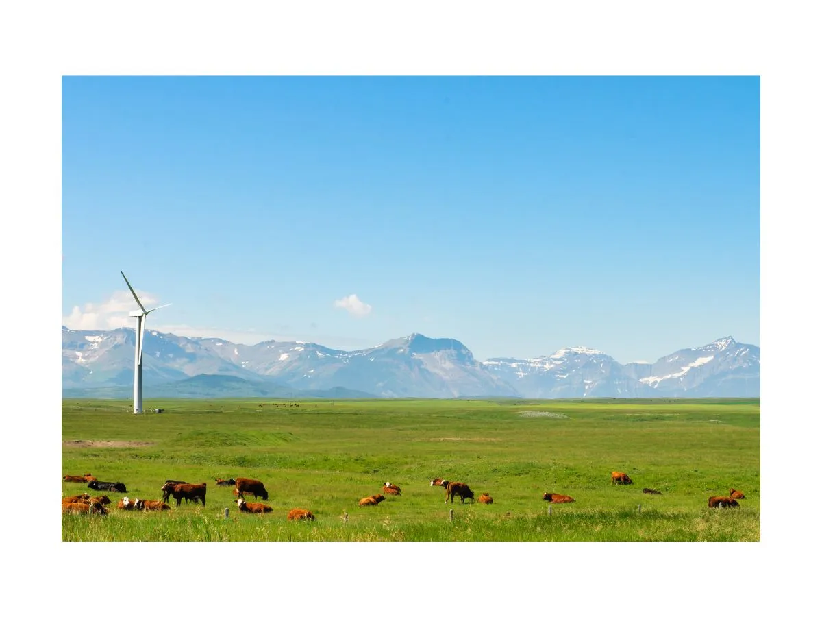 Farmland in SK