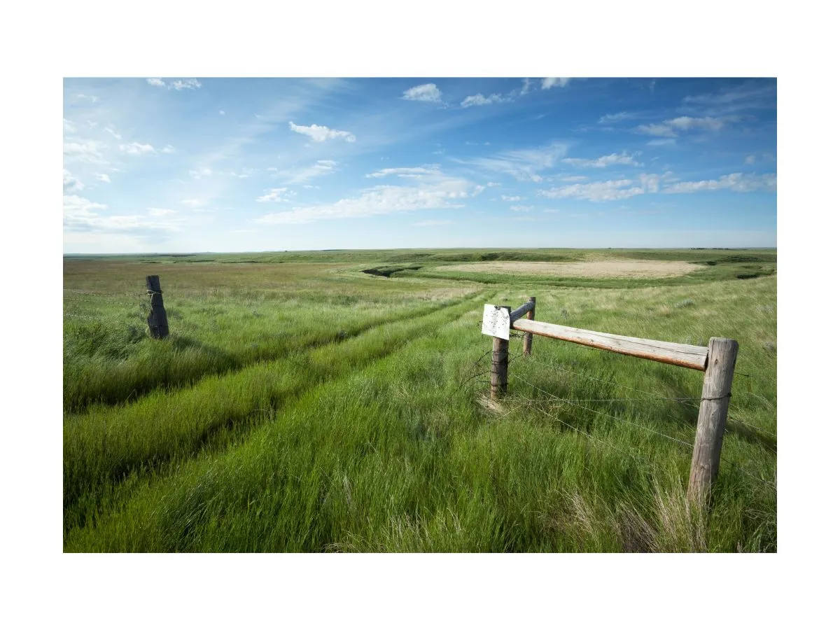 Real estate agent Saskatoon